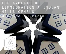 Les avocats de l'immigration à Indian Hills