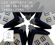 Les avocats de l'immigration à  Tangalooma