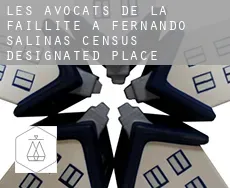 Les avocats de la faillite à  Fernando Salinas