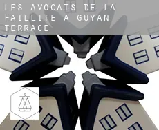 Les avocats de la faillite à  Guyan Terrace