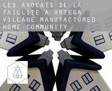 Les avocats de la faillite à  Ortega Village Manufactured Home Community