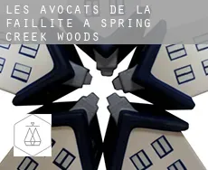 Les avocats de la faillite à  Spring Creek Woods