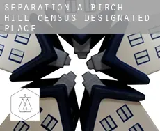Séparation à  Birch Hill