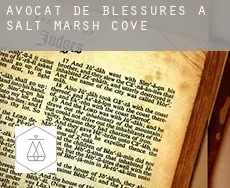 Avocat de blessures à  Salt Marsh Cove