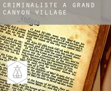 Criminaliste à  Grand Canyon Village