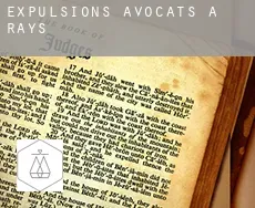 Expulsions avocats à  Rays