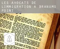 Les avocats de l'immigration à  Branums Point