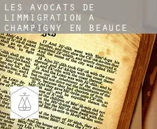 Les avocats de l'immigration à Champigny-en-Beauce