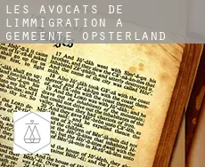 Les avocats de l'immigration à  Gemeente Opsterland