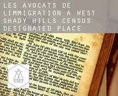Les avocats de l'immigration à  West Shady Hills