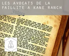 Les avocats de la faillite à  Kane Ranch