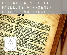 Les avocats de la faillite à  Phoenix Lake-Cedar Ridge