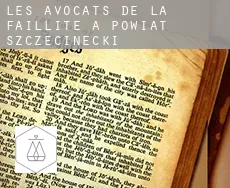 Les avocats de la faillite à Powiat szczecinecki