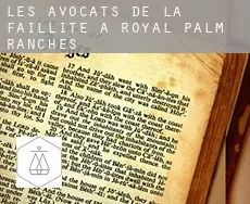 Les avocats de la faillite à  Royal Palm Ranches