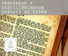 Procureur à  Castillon(Canton d'Arthez-de-Béarn)