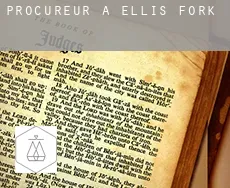 Procureur à  Ellis Fork