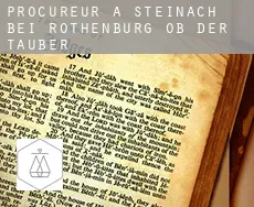 Procureur à  Steinach bei Rothenburg ob der Tauber