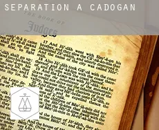 Séparation à  Cadogan