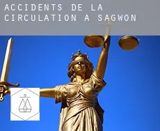 Accidents de la circulation à  Sagwon
