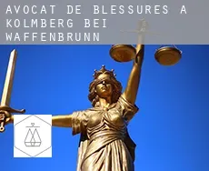 Avocat de blessures à Kolmberg bei Waffenbrunn