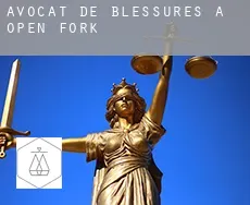 Avocat de blessures à  Open Fork