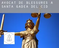 Avocat de blessures à  Santa Gadea del Cid