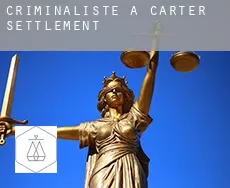 Criminaliste à  Carter Settlement