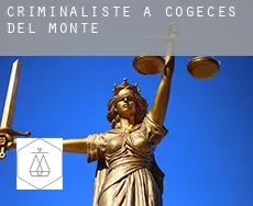 Criminaliste à  Cogeces del Monte