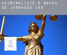 Criminaliste à  Navas de Jadraque (Las)