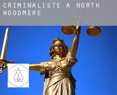 Criminaliste à  North Woodmere