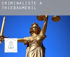 Criminaliste à  Thiébauménil