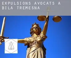 Expulsions avocats à  Bílá Třemešná