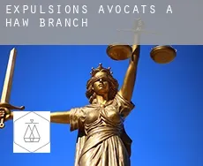 Expulsions avocats à  Haw Branch