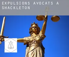 Expulsions avocats à  Shackleton