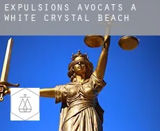 Expulsions avocats à  White Crystal Beach