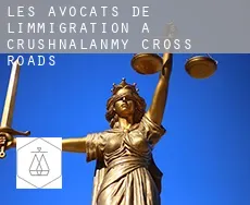 Les avocats de l'immigration à  Crushnalanmy Cross Roads