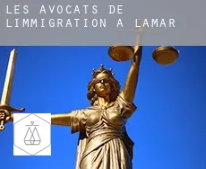 Les avocats de l'immigration à Lamar
