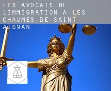Les avocats de l'immigration à  Les Chaumes de Saint-Aignan