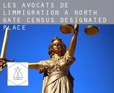 Les avocats de l'immigration à  North Gate