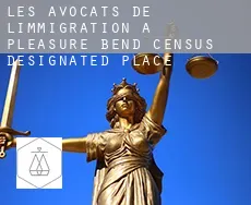 Les avocats de l'immigration à  Pleasure Bend
