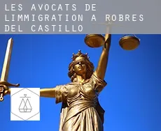 Les avocats de l'immigration à  Robres del Castillo