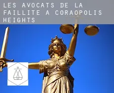 Les avocats de la faillite à  Coraopolis Heights