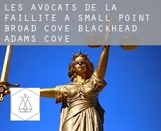 Les avocats de la faillite à  Small Point-Broad Cove-Blackhead-Adams Cove
