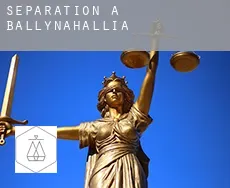 Séparation à Ballynahallia
