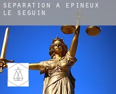 Séparation à  Épineux-le-Seguin