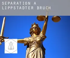 Séparation à  Lippstädter Bruch