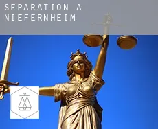 Séparation à  Niefernheim