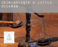 Criminaliste à  Little Hickman