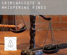Criminaliste à  Whispering Pines