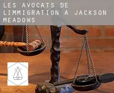 Les avocats de l'immigration à  Jackson Meadows